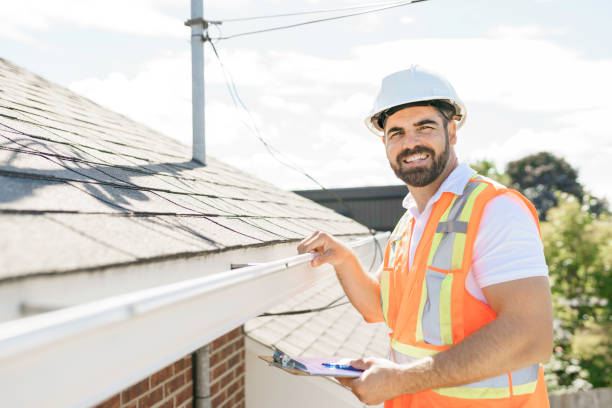 Best Roof Gutter Cleaning  in Alba, NY