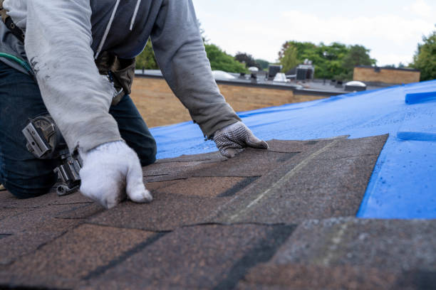 Best Roof Leak Repair  in Alba, NY